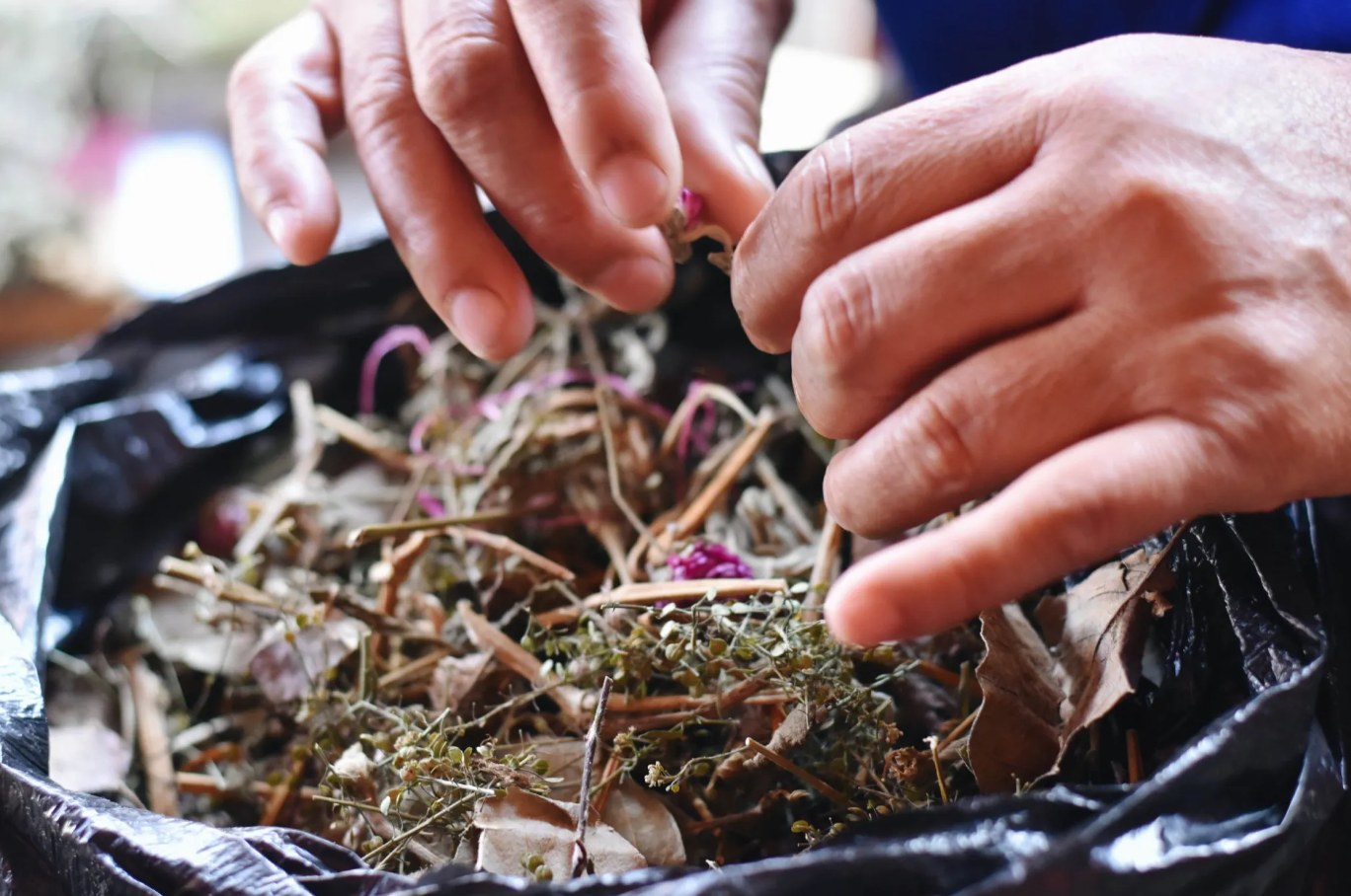  Fotografía: Celeste Mayorga 